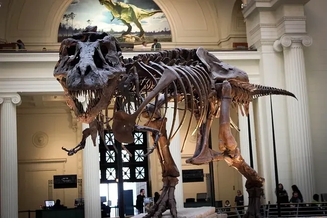 Giganotosaurus - En Overset Dinosaur Med Imponerende Egenskaber